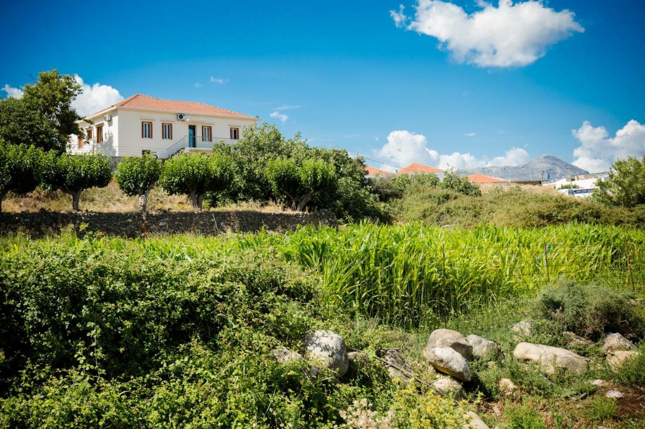 Villa Alexandra Kissamos Bagian luar foto